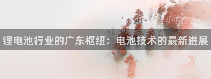 凯时官网手机版首页