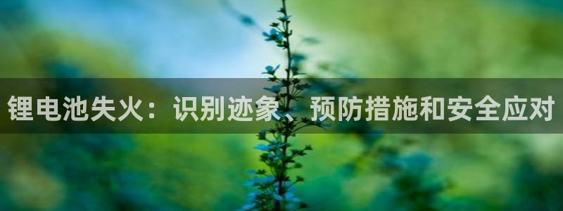 尊龙网站 人生就是博
