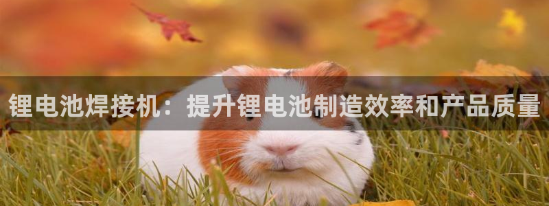尊龙实业 吴友良