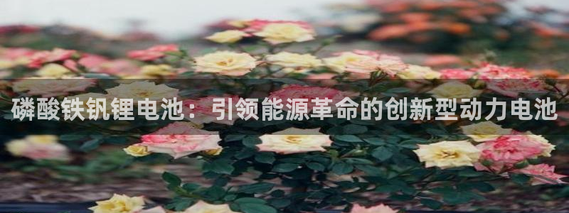 尊龙专访