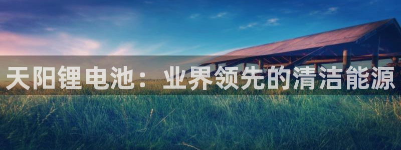 尊龙人生就是博菲律宾台子