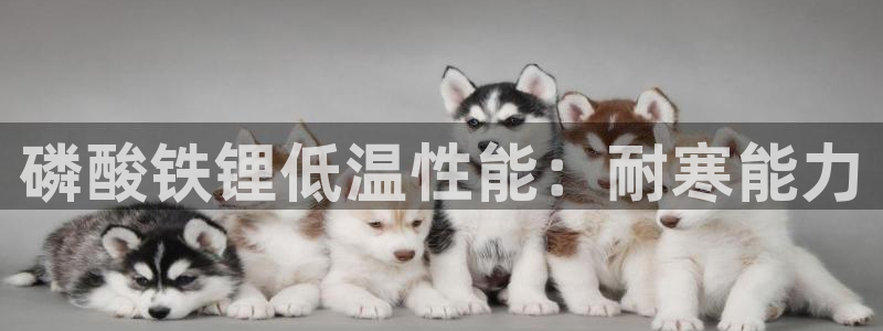 凯时kb88kb88