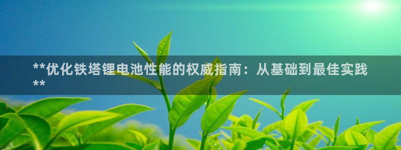 尊龙官网手