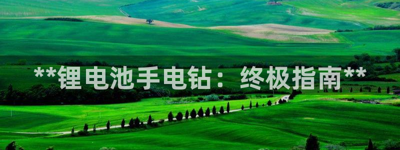 尊龙官网网页版
