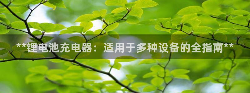 尊龙凯时·中国官方网站