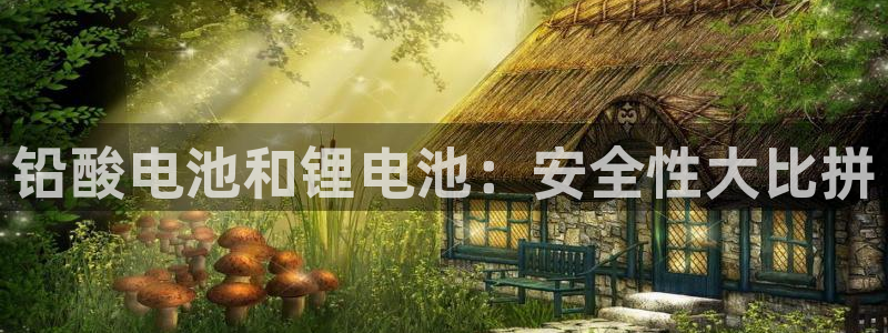 尊龙,人生就是博!登录国际