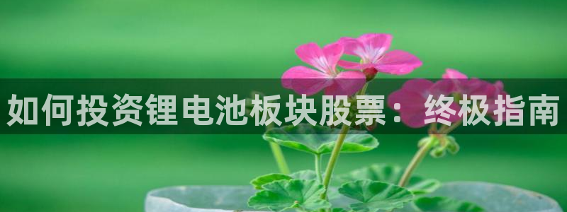 凯时国际app首页登录