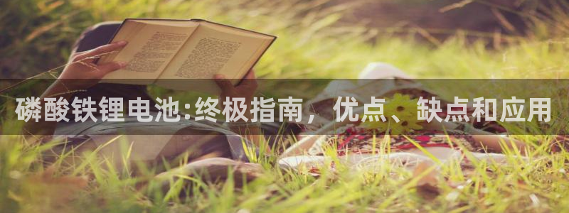 尊龙体育怎么样