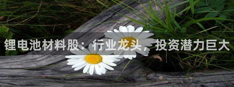 尊龙凯时的钱能退回来吗