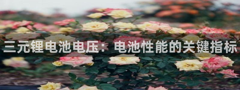 尊龙2016