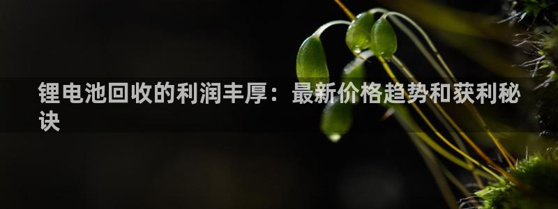 尊龙凯时只输不赢