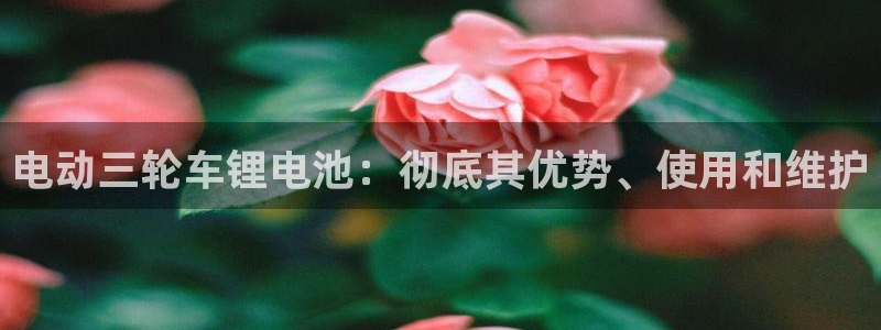 尊龙凯时d5138