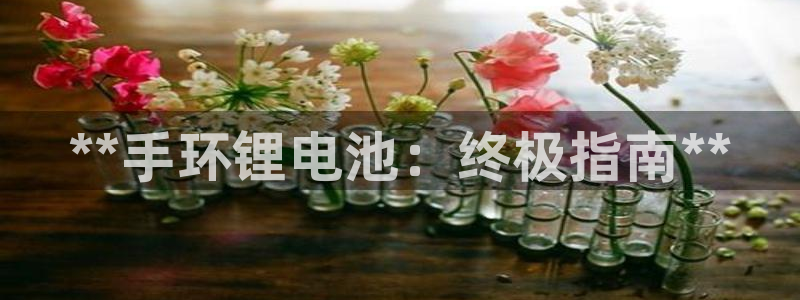 尊龙凯时人生就是搏官