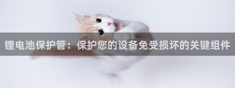 凯时kb88·中国官方网站