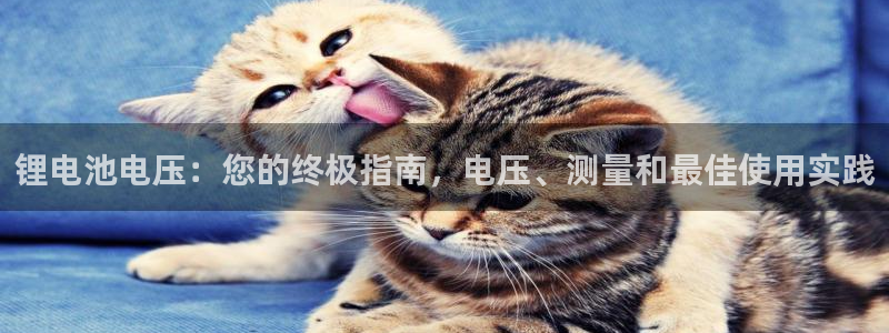 尊龙app下载官网