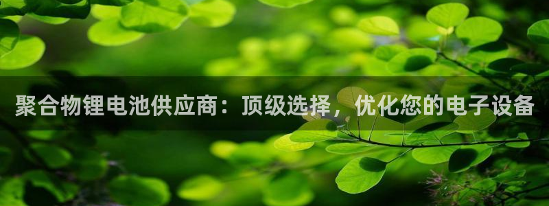 尊龙凯时品牌介绍