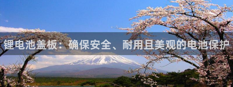 凯时国际网站域名