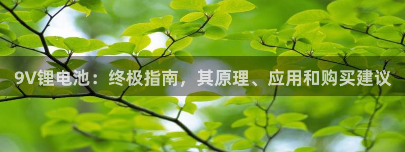 尊龙现金