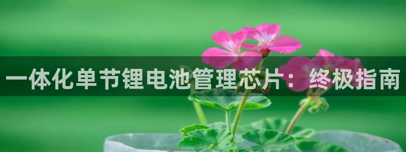 尊龙光学怎么样