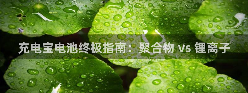 尊龙官网手机版下载