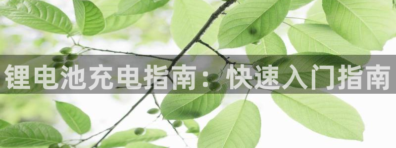 尊龙百度百科