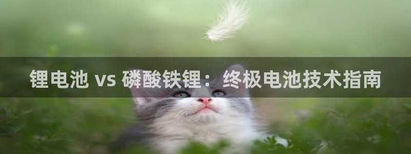 尊龙凯时百家乐手机下载