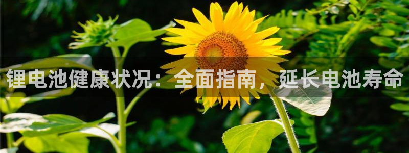 尊龙凯时福米推荐人
