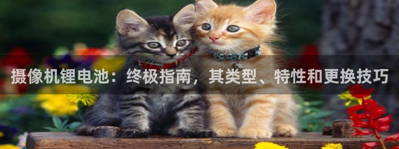尊龙z6网址