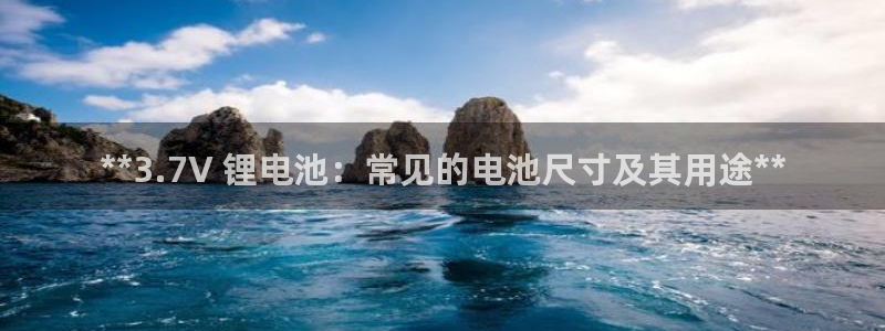 尊龙凯时ag旗舰厅官方网站
