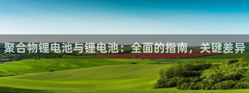z6尊龙z6