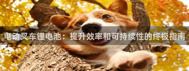 尊龙负面新闻