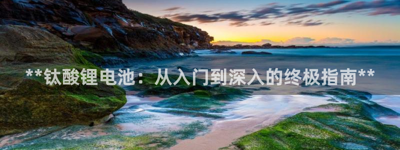 尊龙官网手