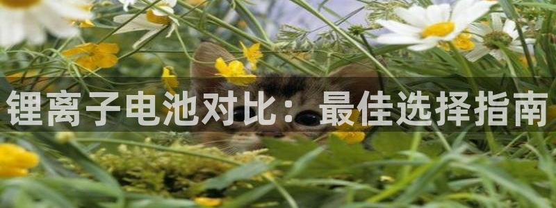 尊龙凯时产品种类