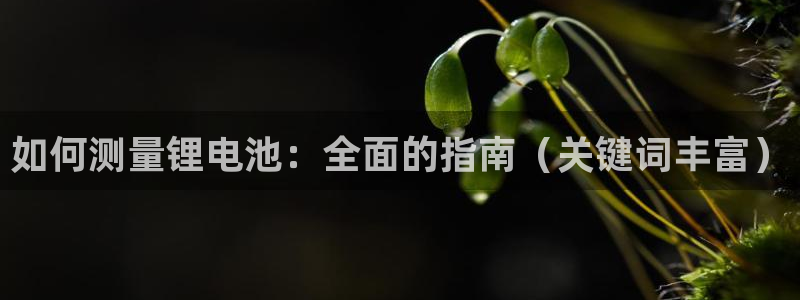 尊龙中国