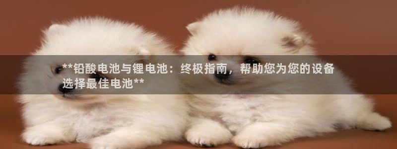 尊龙凯时下载官方正版