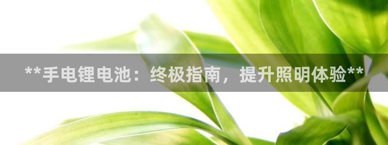 尊龙凯时是不是合法