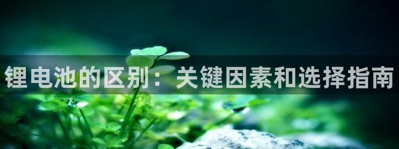 尊龙t500和t300区别