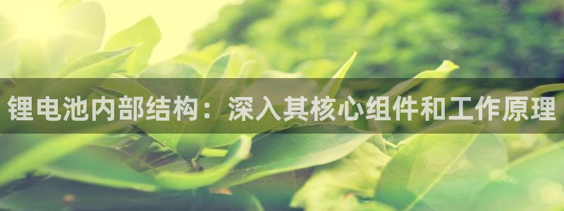 凯时APP官网首页