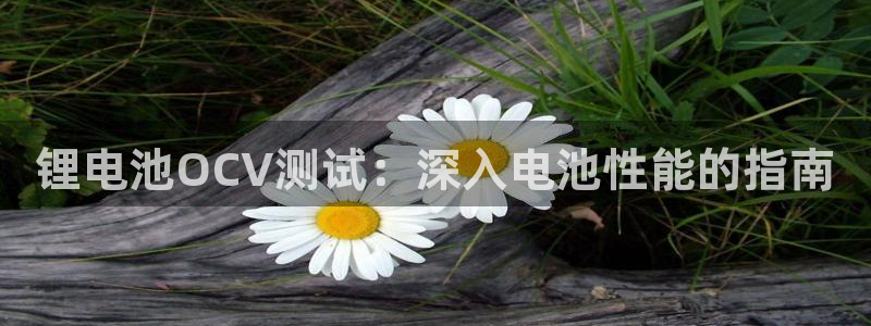 尊龙官网免费下载安装