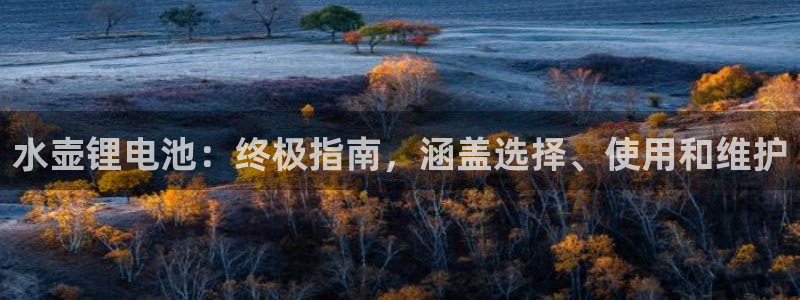 尊龙手机客户端下载APP