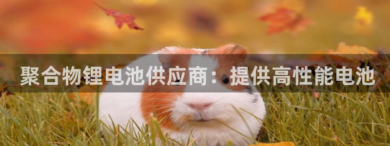 尊龙app|首选agdaohang