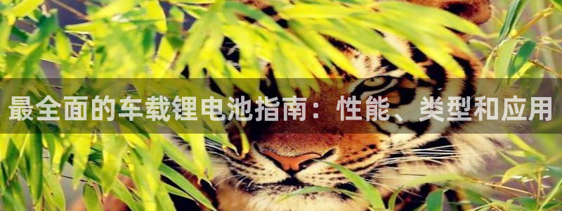 尊龙官方身高