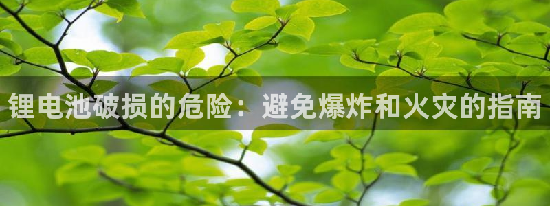 尊龙专访