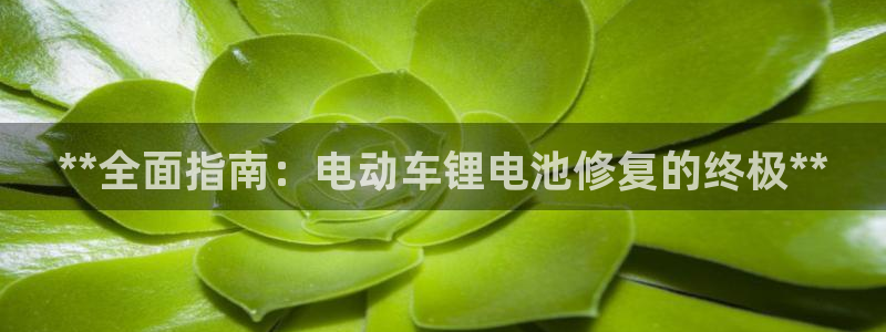 z6尊龙凯时旗