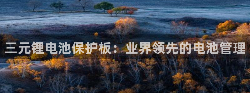 凯时是AG优质运营商
