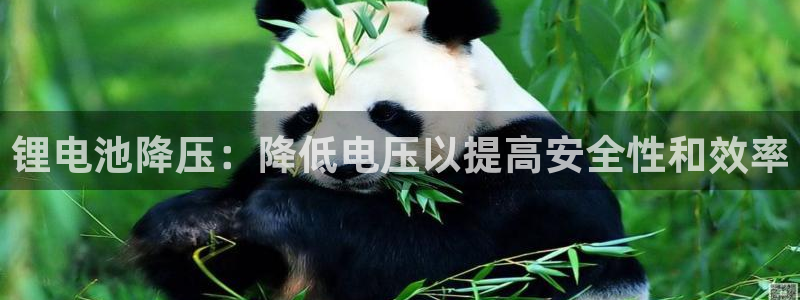 尊龙凯时人生就博