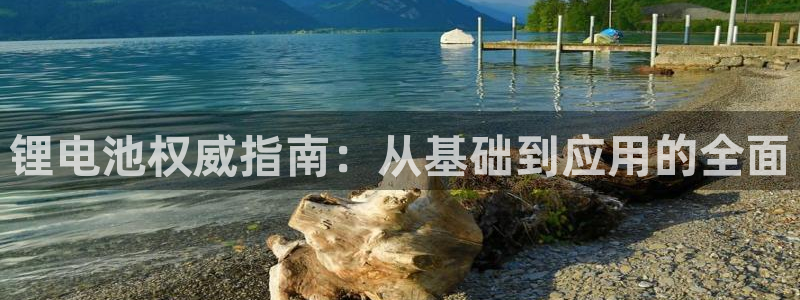 尊龙凯时d5138