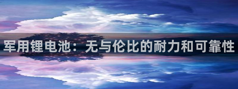 d88尊龙官网手机app