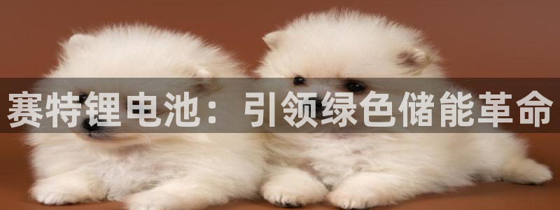尊龙凯时网站赌愽是真的吗