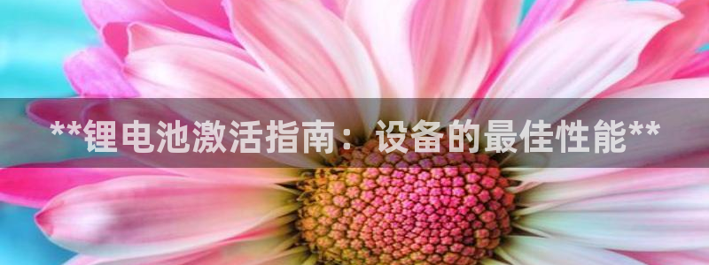尊龙网平台